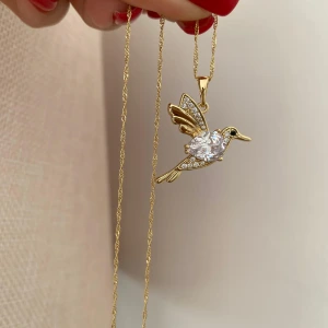 Collar Shine Birds